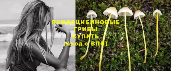 Альфа ПВП Богородск