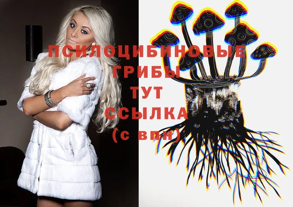 Альфа ПВП Богородск
