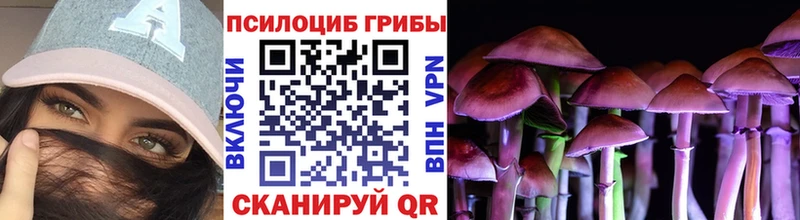 Купить где  Высоковск  Галлюциногенные грибы мицелий 
